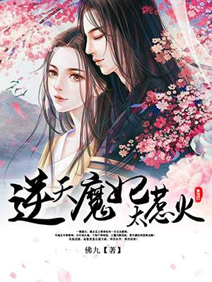 少年玩遍全城美妇小说