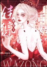 美丽的他一共多少集