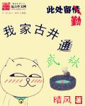 一度君华小说