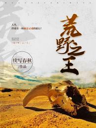 梦幻西游八行书攻略