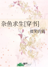 51精品视频