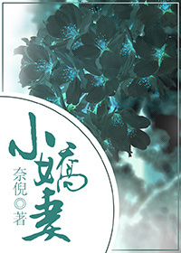 光环第一季