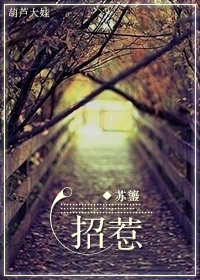 幻星辰精品一二三四区翡翠手镯吧