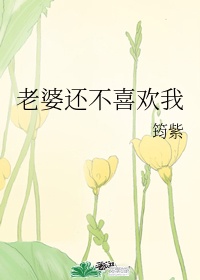 地火电视剧