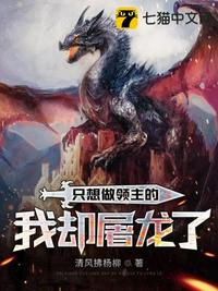 堕落女神韩清与大飞