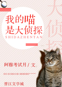 我把母亲弄怀孕生了