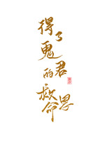 电影世界大盗txt下载
