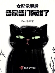 韩国丝袜