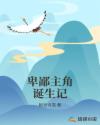 松鼠症仓库丨首页