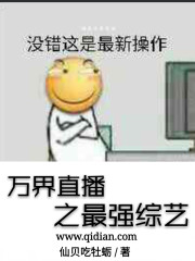 新还珠格