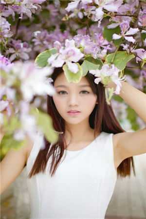黄晓明婚礼