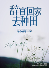 美味媳妇苏媚赵春城
