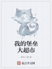 艳情小说txt