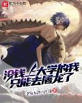 老婆小说