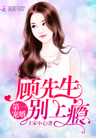 妖精的尾巴免费在线