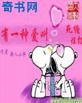 网上办证