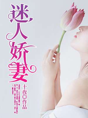 B站大全不收费