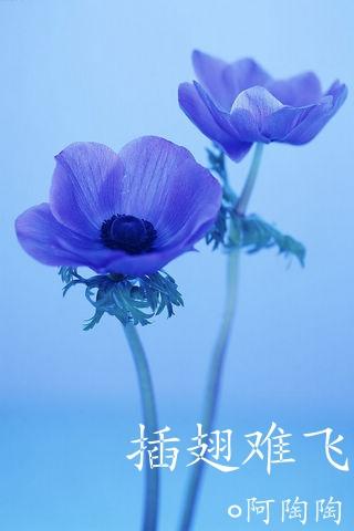 两个奶头红肿拉扯露出来