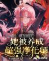 28282在线观看