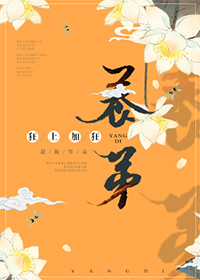 君岛美绪作品全集