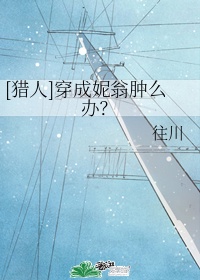 电脑sn是什么意思啊
