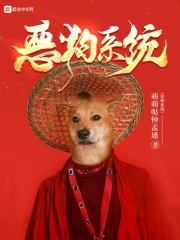 一级爱视频
