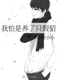 亵玩美人系统