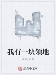 新八一小说阅读网
