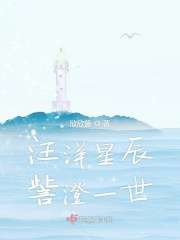 情系公交车