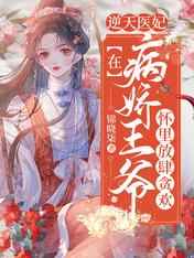 1992侠盗高飞免费全集