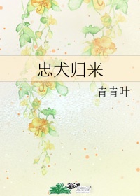 热辣宝贝