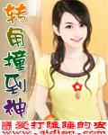 一本道网站a片