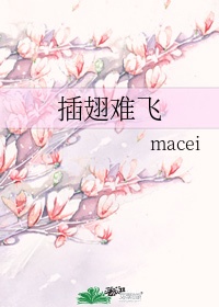 亚洲1区2区3区