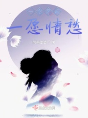 贼牛网