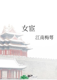锦心记