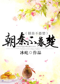主角叫韩风九个未婚妻的都市小说