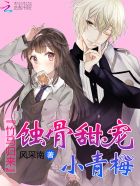 夫妻那些事在线完整版