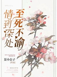 h动漫大合集迅雷种子下载