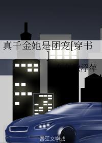大海视频