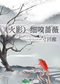云聚合直播vip破解版