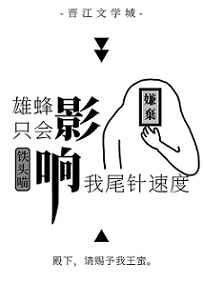掌中之物评价