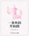 进入小丹
