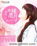摇滚水果
