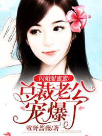 植物大战僵尸无敌版