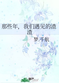 台湾打真军红楼梦h版