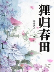 久草新视频