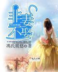 他似火军婚高干婚恋TXT