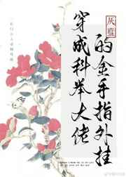 七妹A导航