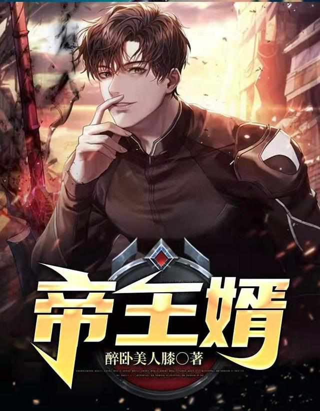 男的插女的视频