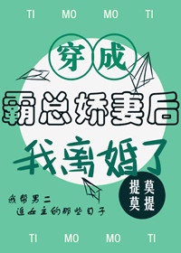 她见青山